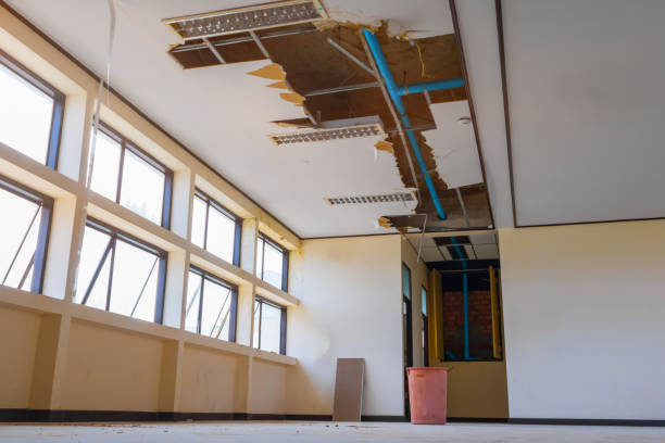 Best Sewage cleanup and water damage restoration  in Hurlburt Field, FL