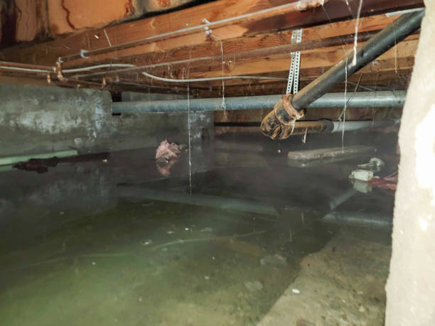 Best Commercial water damage restoration  in Hurlburt Field, FL