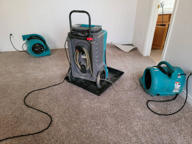 Fire Damage Restoration in FL