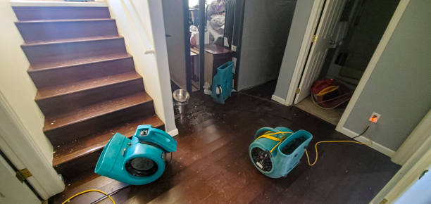 Best Water damage contractors near me  in Hurlburt Field, FL