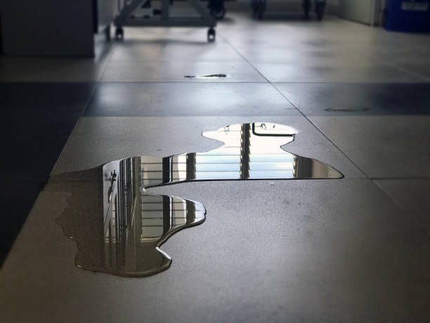  Hurlburt Field, FL Water damage restoration Pros