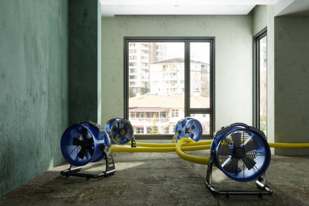Best Flood restoration services  in Hurlburt Field, FL
